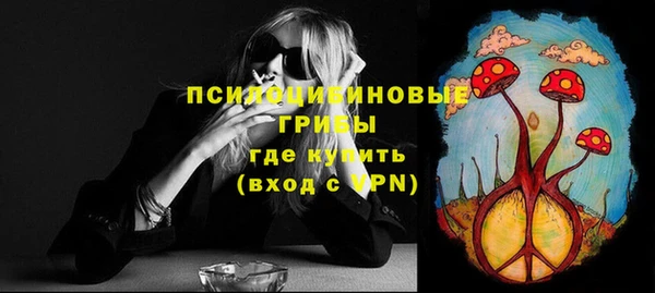 бошки Абинск
