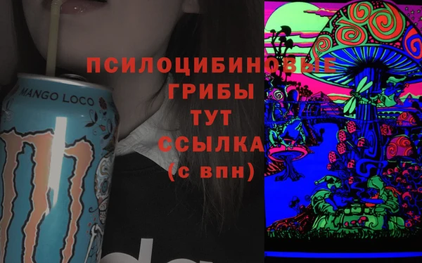бошки Абинск