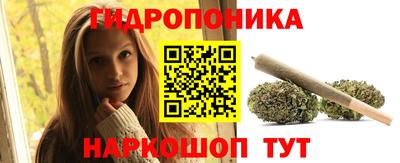 индика Пугачёв