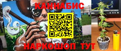 индика Пугачёв