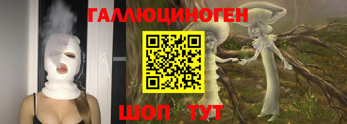 Галлюциногенные грибы Magic Shrooms  Галлюциногенные грибы ЛСД  Чита  Вход с VPN 