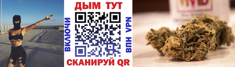 где найти   Чита  Канабис ГИДРОПОН 